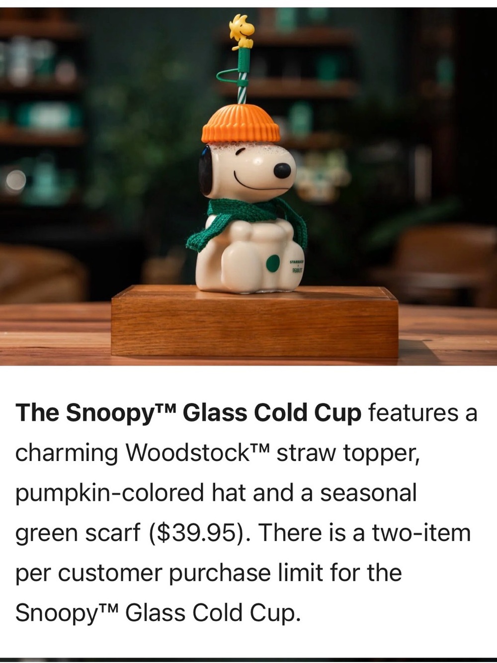 Starbucks X Snoopy Glass Cold Cup with Orange Hat and Green Scarf with Woodstock
